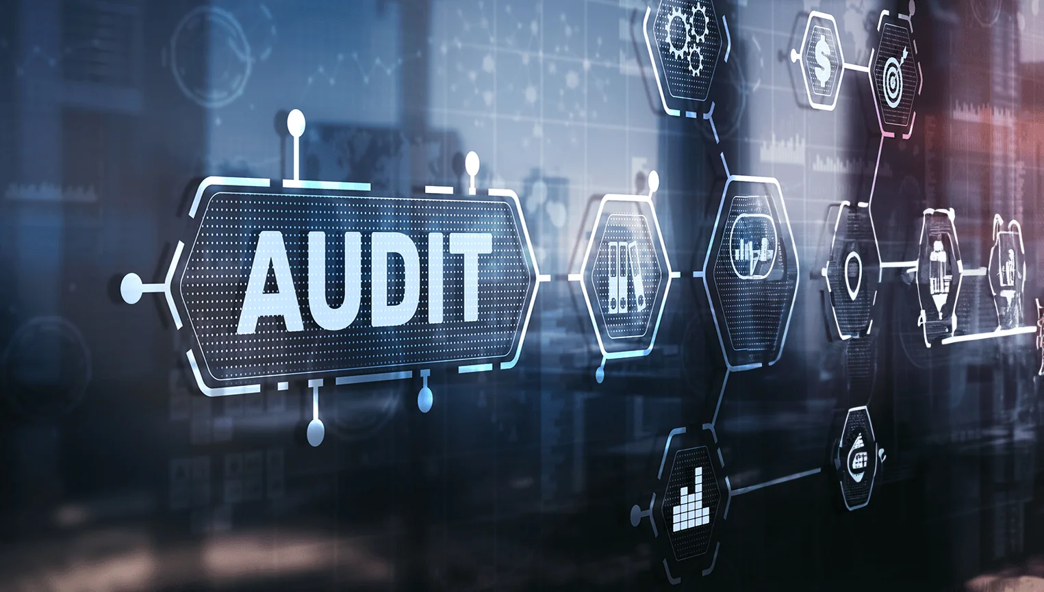 services page_audit image